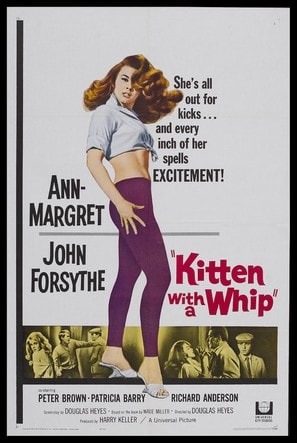 Kitten with a Whip poster