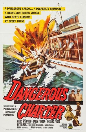 Dangerous Charter poster