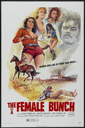 Poster of The Female Bunch