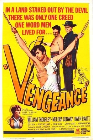 Vengeance poster