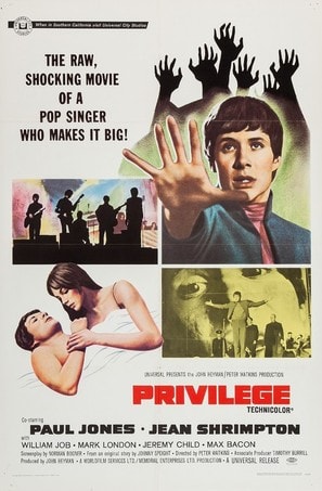 Privilege poster