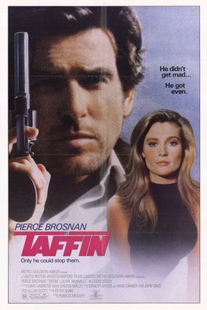Poster of Taffin