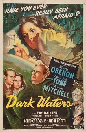 Dark Waters poster