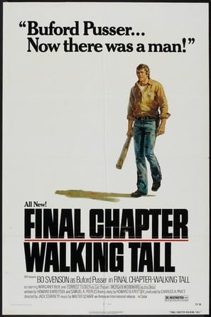 Final Chapter: Walking Tall poster