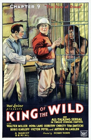 Poster of King of the Wild
