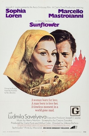 Poster of Sunflower