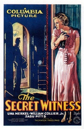 The Secret Witness poster