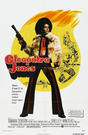 Poster of Cleopatra Jones