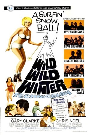 Wild Wild Winter poster