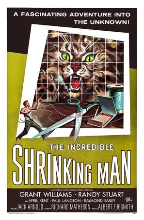 Poster of The Incredible Shrinking Man