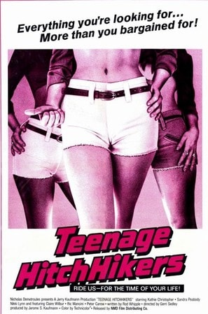 Poster of Teenage Hitchhikers