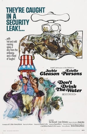 Poster of Don’t Drink the Water