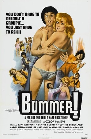 Bummer poster