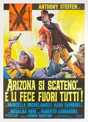 Poster of Arizona Colt, Hired Gun