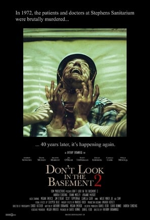 Poster of Don’t Look in the Basement 2