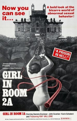 The Girl in Room 2A poster