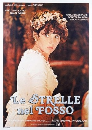 Poster of Le strelle nel fosso