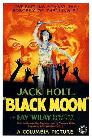 Black Moon poster