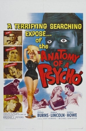 Poster of Anatomy of a Psycho