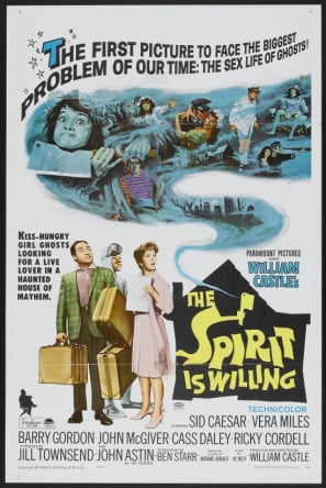Poster of The Spirit Is Willing