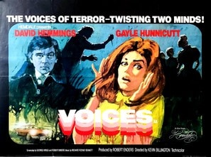 Voices poster