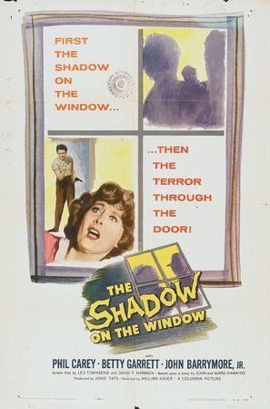 Poster of The Shadow on the Window