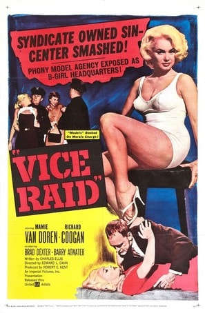 Vice Raid poster