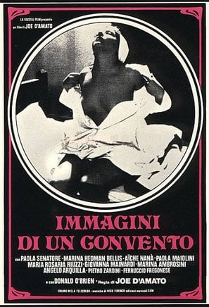 Images in a Convent poster