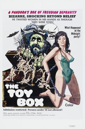 The Toy Box poster