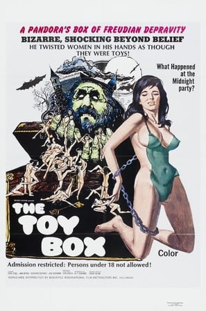 Poster of The Toy Box