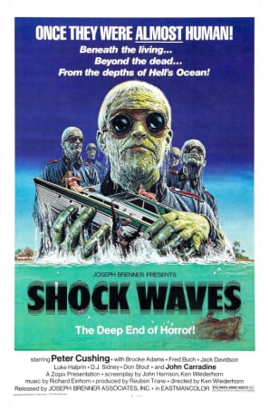 Poster of Shock Waves