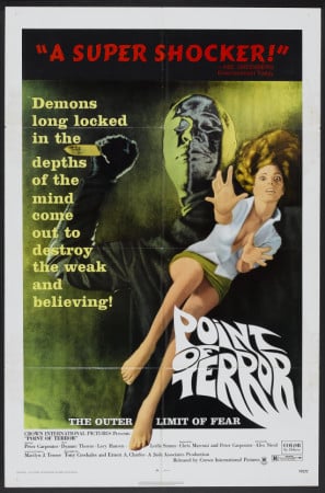 Point of Terror poster