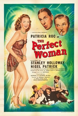 The Perfect Woman poster