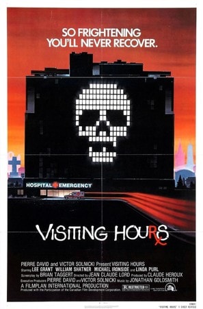 Poster of Visiting Hours