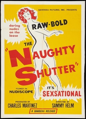 Poster of The Naughty Shutter