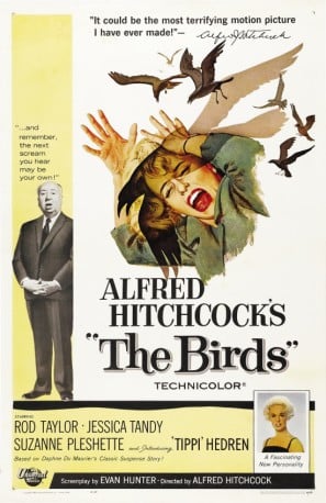 Poster of The Birds