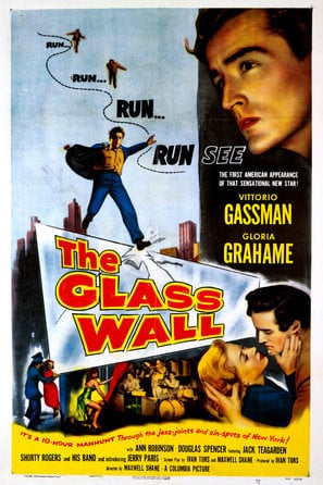 Poster of The Glass Wall