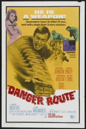 Poster of Danger Route