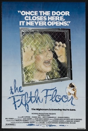 The Fifth Floor poster