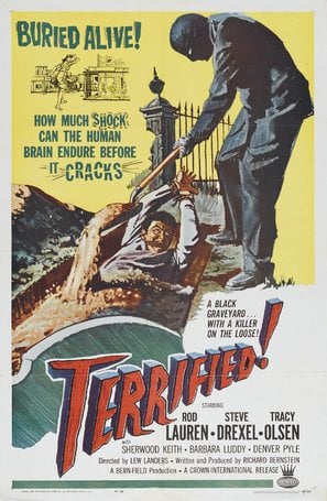 Terrified poster