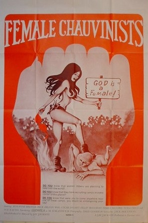 Female Chauvinists poster
