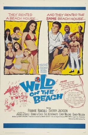 Poster of Wild on the Beach