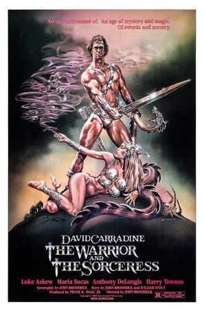 The Warrior and the Sorceress poster