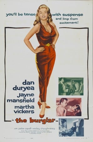 Poster of The Burglar