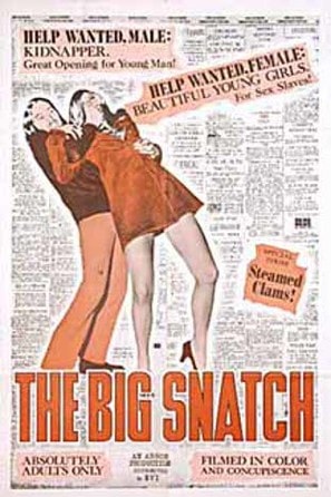 Poster of The Big Snatch