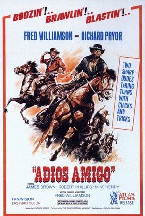 Poster of Adiós Amigo