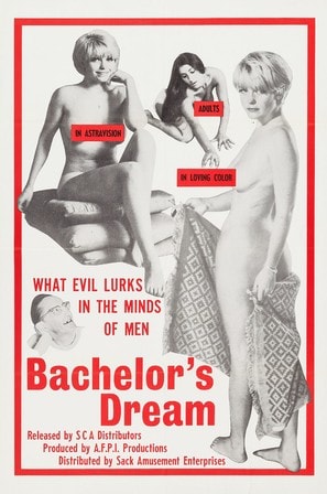 Poster of The Bachelor’s Dreams