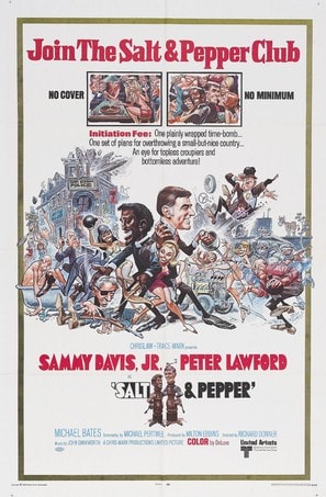Poster of Salt and Pepper