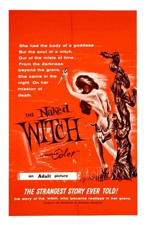 Poster of The Naked Witch