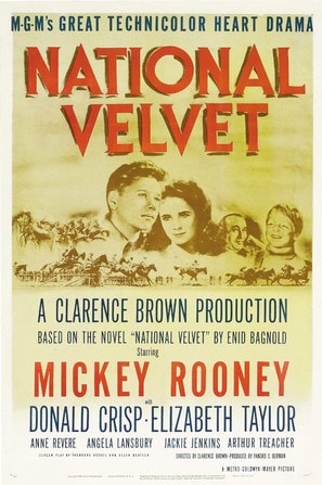 National Velvet poster